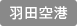 Haneda airport