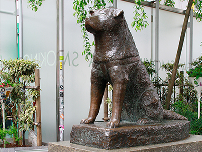 Japan's largest meeting place - Hachiko-mae