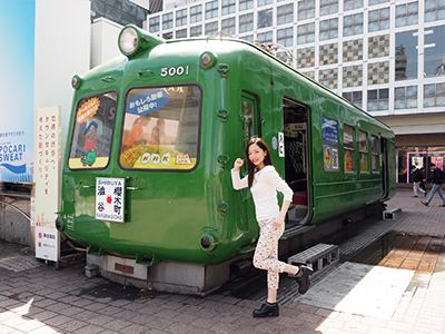 Tourist information center called Green Frog