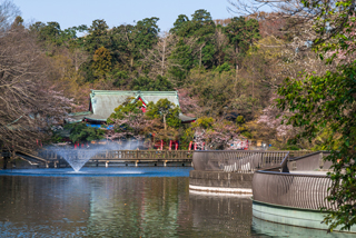 Spend an elegant time around Inokashira Pond