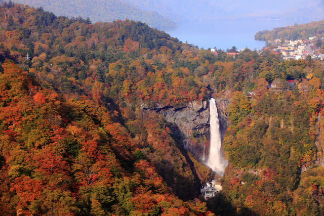 Autumn in Nikko