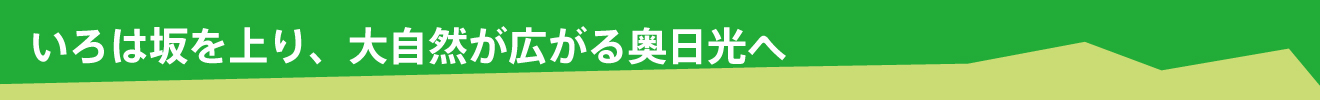 登上伊呂波坂，前往大自然廣闊的奧日光