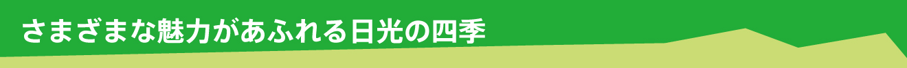 さまざまな魅力があふれる日光の四季