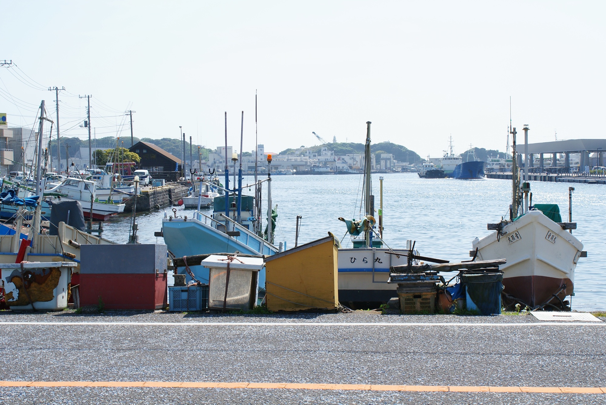 Enjoy a delicious tuna lunch around Misaki Port