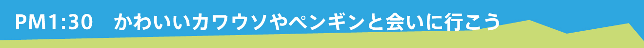 PM1:30
かわいいカワウソやペンギンと会いに行こう