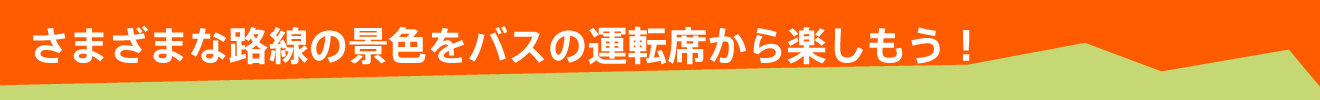 さまざまな路線の景色をバスの運転席から楽しもう！
