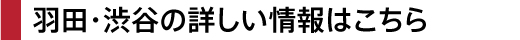 Click here for more information on Haneda and Shibuya