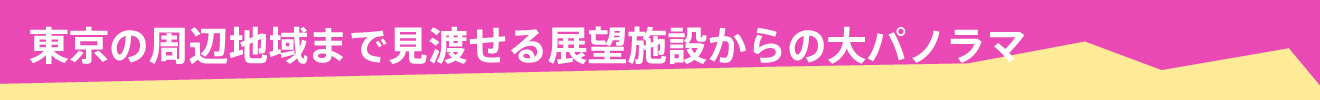 東京の周辺地域まで見渡せる展望施設からの大パノラマ