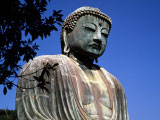 Kamakura Great Buddha Hall Kotokuin