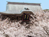 Kenchoji, the head temple of the Kenchoji school of the Rinzai sect