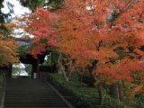 Engakuji Temple, head temple of the Rinzai sect