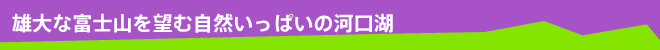 充满自然气息的河口湖，可欣赏雄伟的富士山