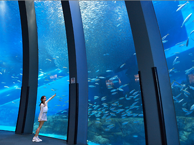 An aquarium that continues to receive high praise