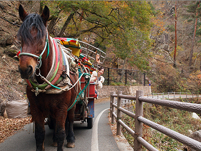 Enjoy valley watching while riding a horse-drawn carriage
